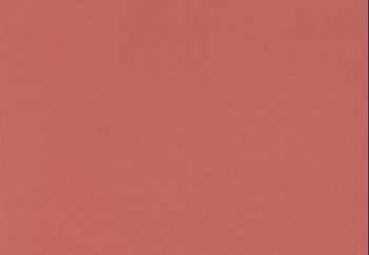 ColorCore Cardstock paprika